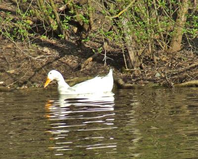 Прикрепленное изображение: 005.jpg